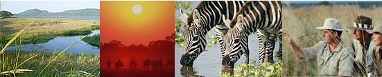 wildlife-safaris