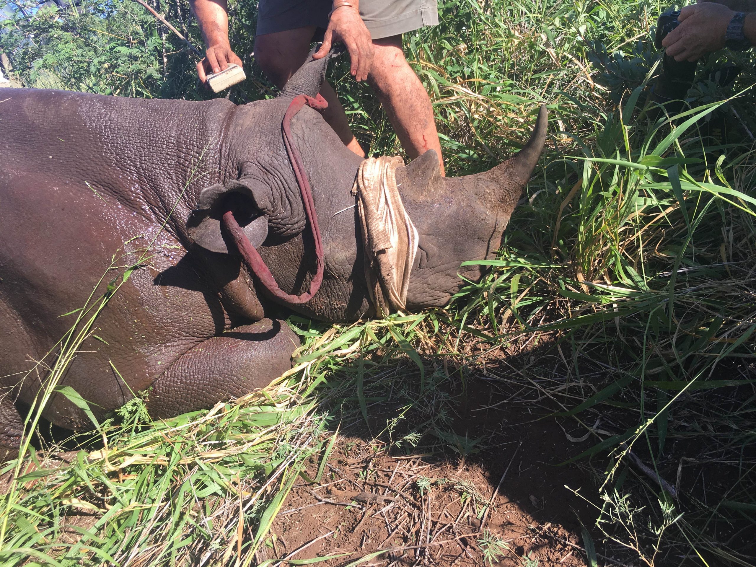 Conservation support